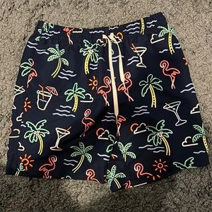 Chubbies the neon lights, 5.5” classic swim trunk